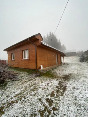 Cabana Beliș